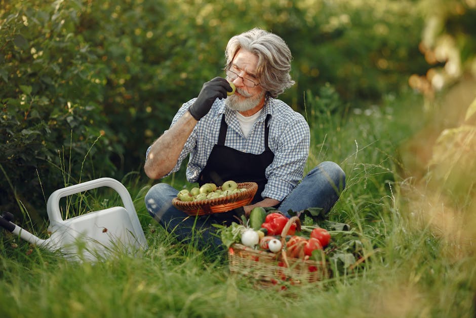 A mature man with grey hair and a beard is sitting cross-legged on a lush, green lawn in a garden, engaging in outdoor gardening activities. He is wearing a checkered shirt, a black apron, and gloves, and is seen eating a green apple. In front of him, there are two baskets filled with freshly picked produce, including red and green apples, tomatoes, and onions. Green plants and bushes surround him, with a mix of leafy shrubs and small trees in the background, creating a vibrant and healthy garden environment. To his left, a white garden watering can rests on the grass, indicating ongoing gardening work. The scene is bathed in warm natural sunlight, highlighting the textures of the grass, soil, and fresh produce, and emphasizing the peaceful, productive atmosphere of garden maintenance and landscaping work, ideal for promoting affordable gardening services such as those provided by Gardeners Haringey in Crouch End.