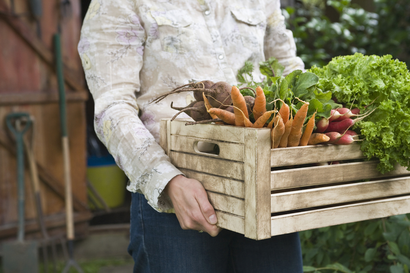 garden maintenance garden care