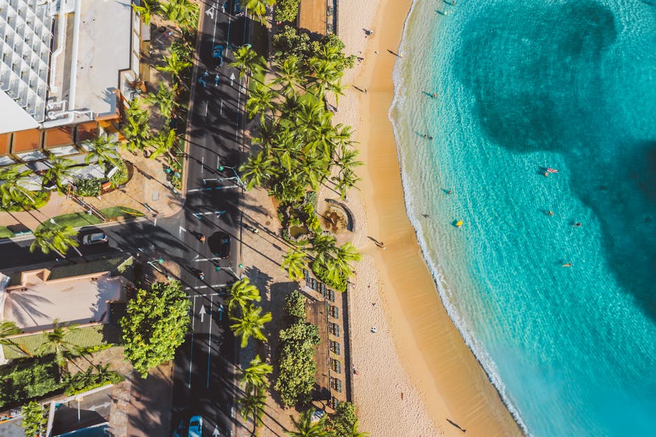 An aerial view of a coastal area showing a sandy beach adjacent to a water body with gentle waves, where several swimmers are enjoying the sea. Next to the beach, there is a line of lush green palm trees casting long shadows on a paved promenade. The promenade runs parallel to the shoreline and features a few pedestrians, benches, and small landscaped garden beds with shrubs and flowers. To the left side of the image, there are residential buildings with rooftop terraces and balconies, some with potted plants, belonging to the area served by Gardeners Haringey. The overall scene highlights a well-maintained outdoor space combining natural elements with urban landscaping, suitable for relaxing and outdoor activities, with bright sunlight illuminating the scene and clear blue skies overhead.