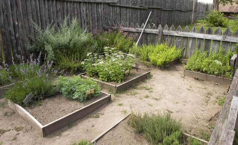 Garden yard